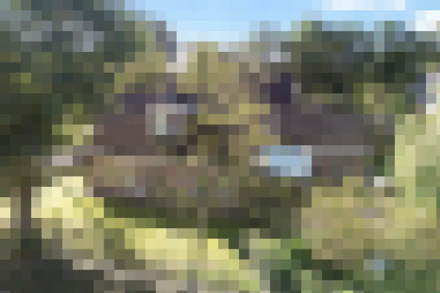 Meulekaamp 3 Ansen thumbnail 6