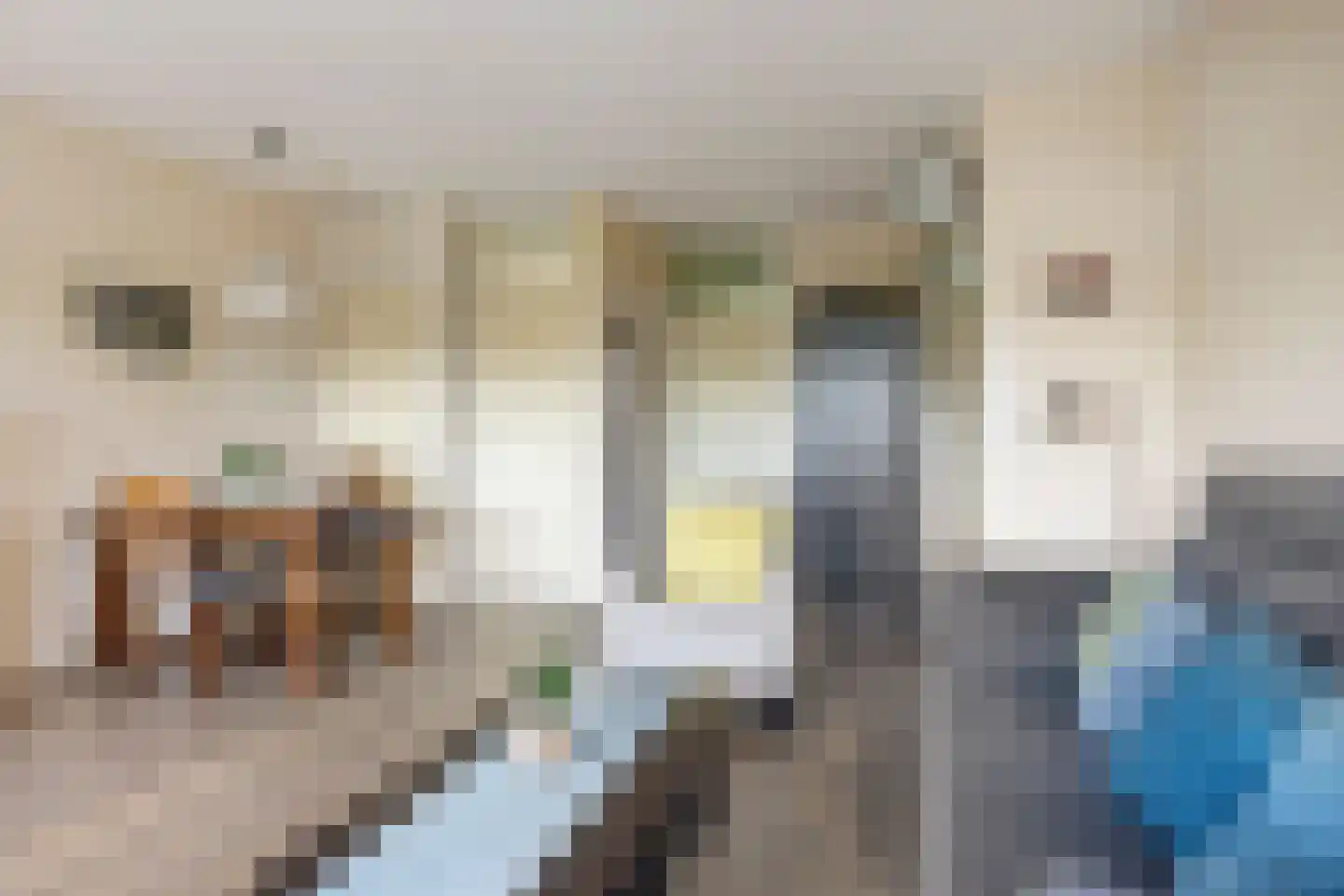 Meulemansstraat 105 Tilburg thumbnail 13