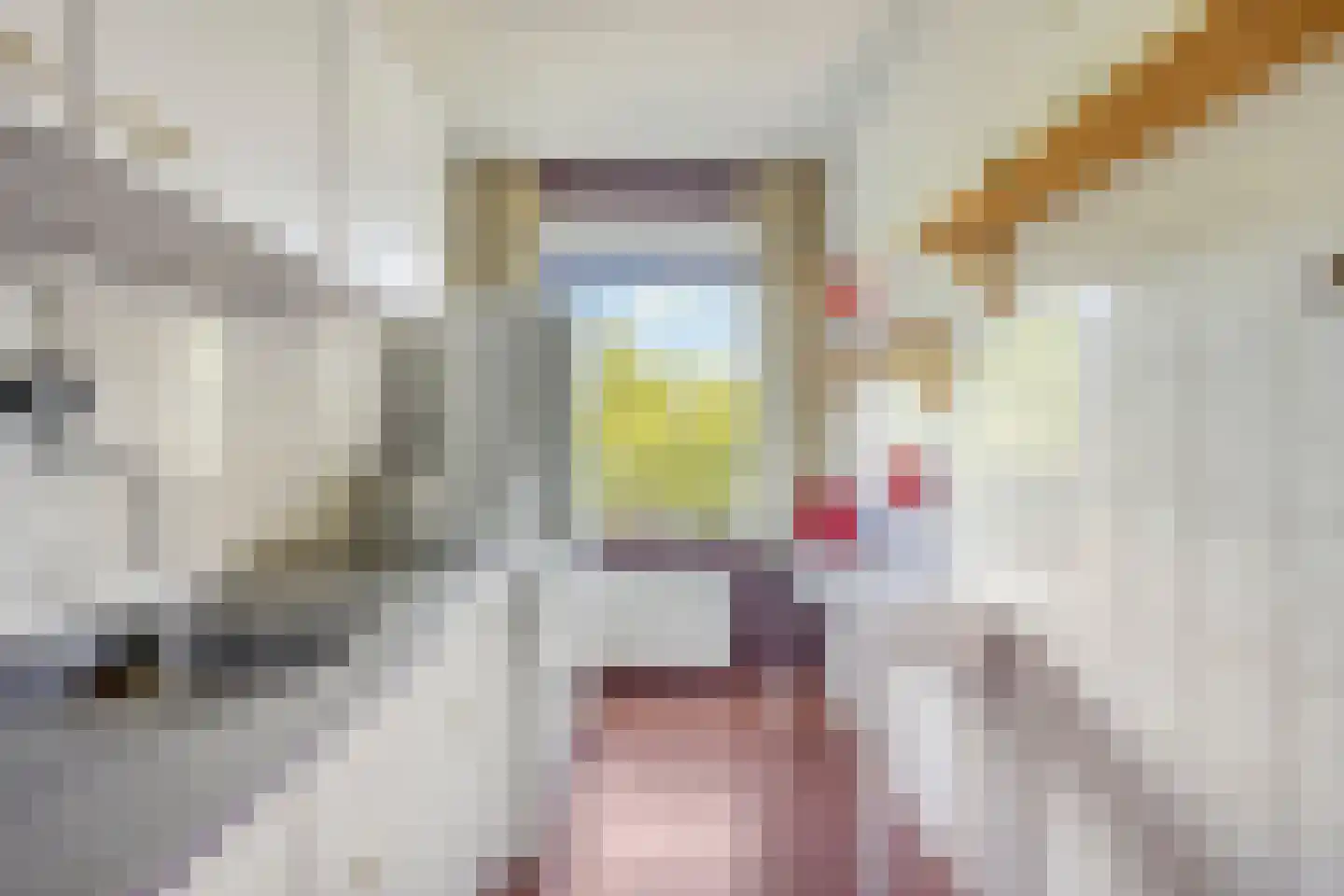Meulemansstraat 105 Tilburg thumbnail 17