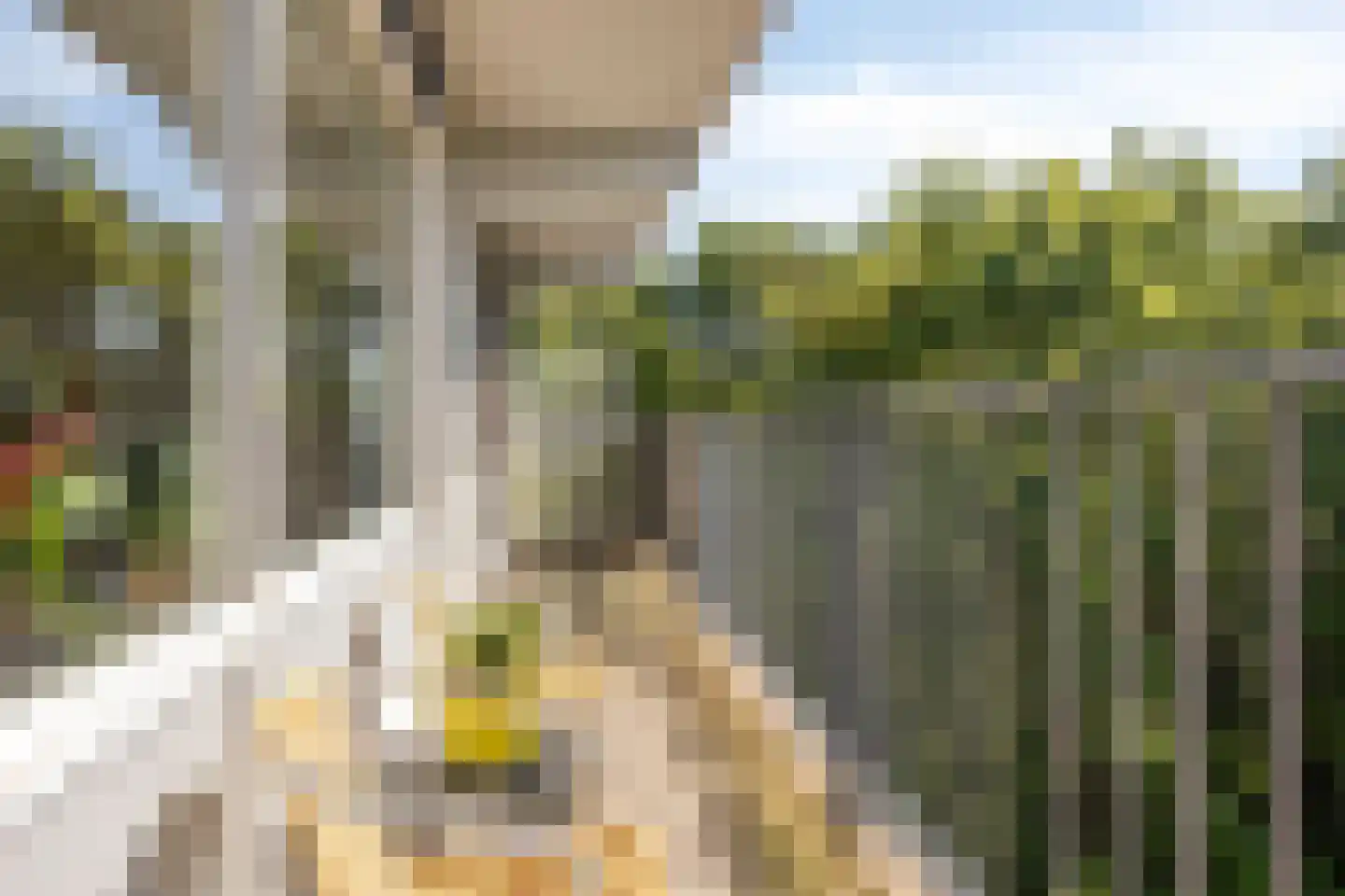 Meulemansstraat 105 Tilburg thumbnail 35