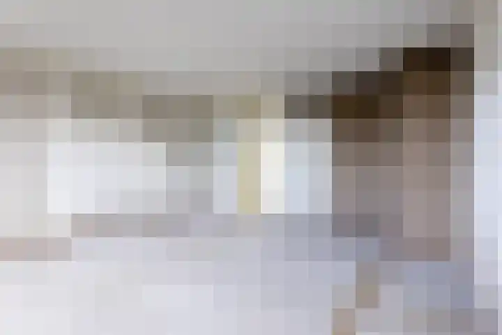 Meulemansstraat 125 Tilburg thumbnail 10