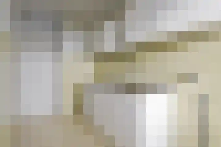 Meulemansstraat 125 Tilburg thumbnail 13