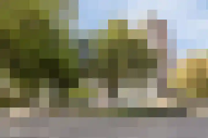 Meulemansstraat 125 Tilburg thumbnail 29