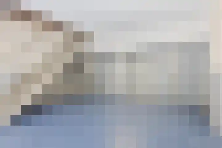 Meulemansstraat 125 Tilburg foto 3