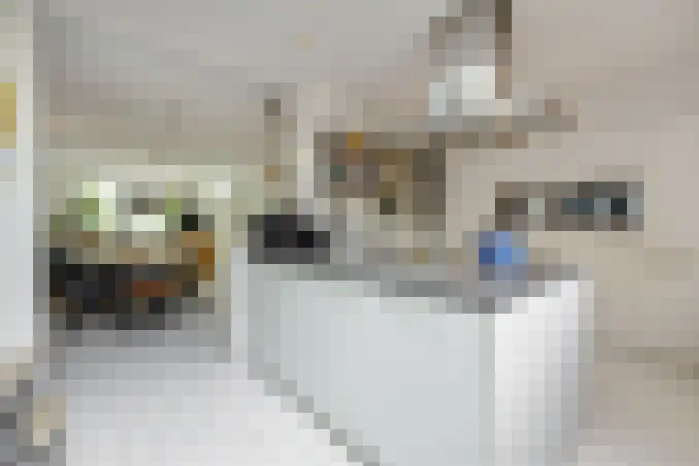 Meulemansstraat 129 Tilburg thumbnail 11