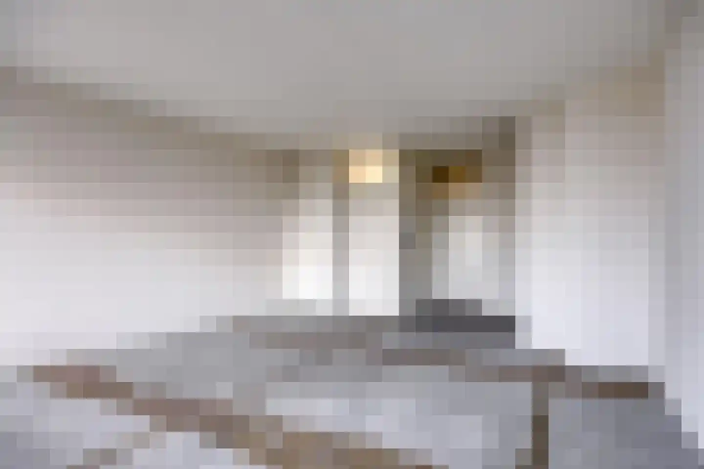 Meulemansstraat 129 Tilburg thumbnail 17