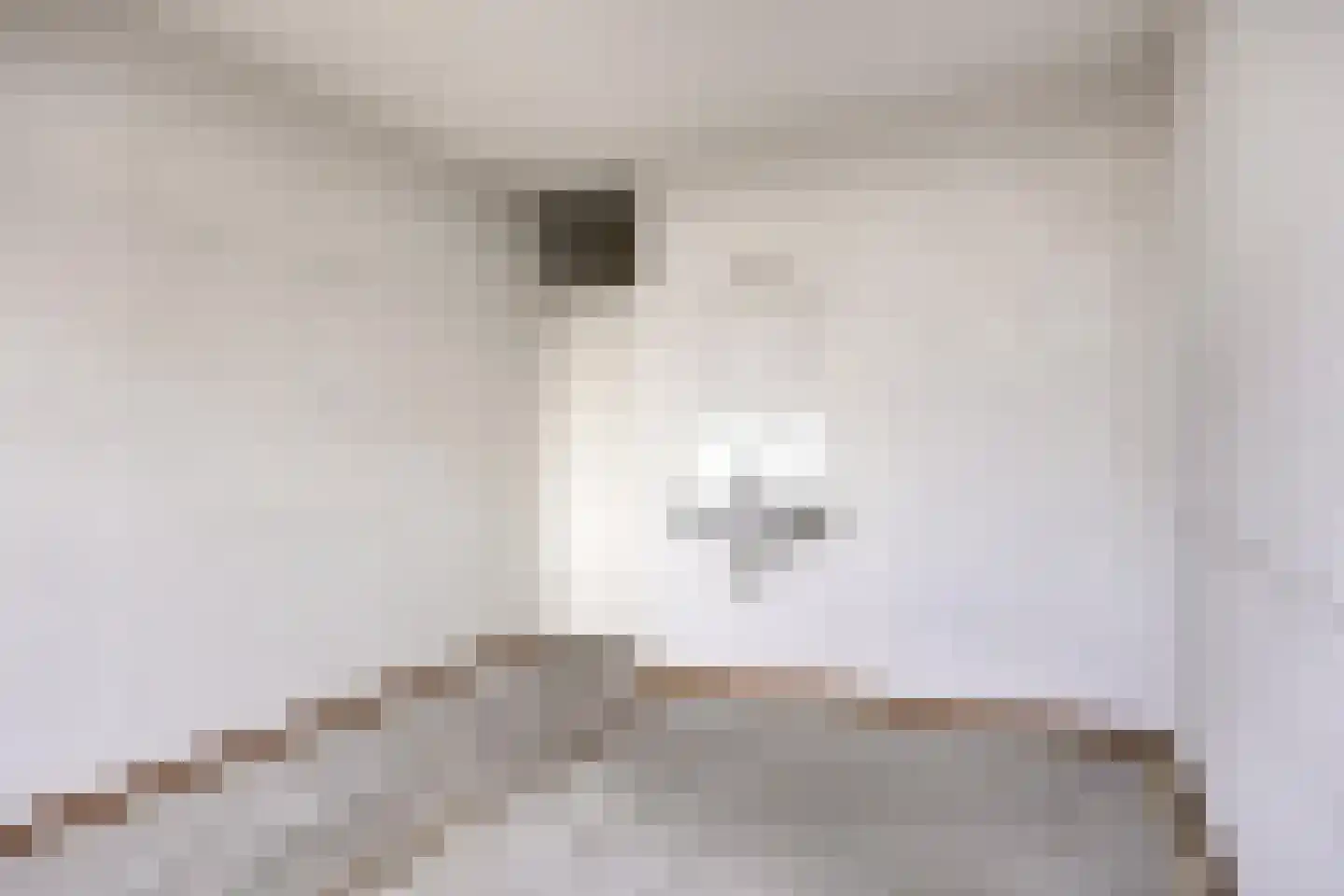 Meulemansstraat 129 Tilburg thumbnail 37