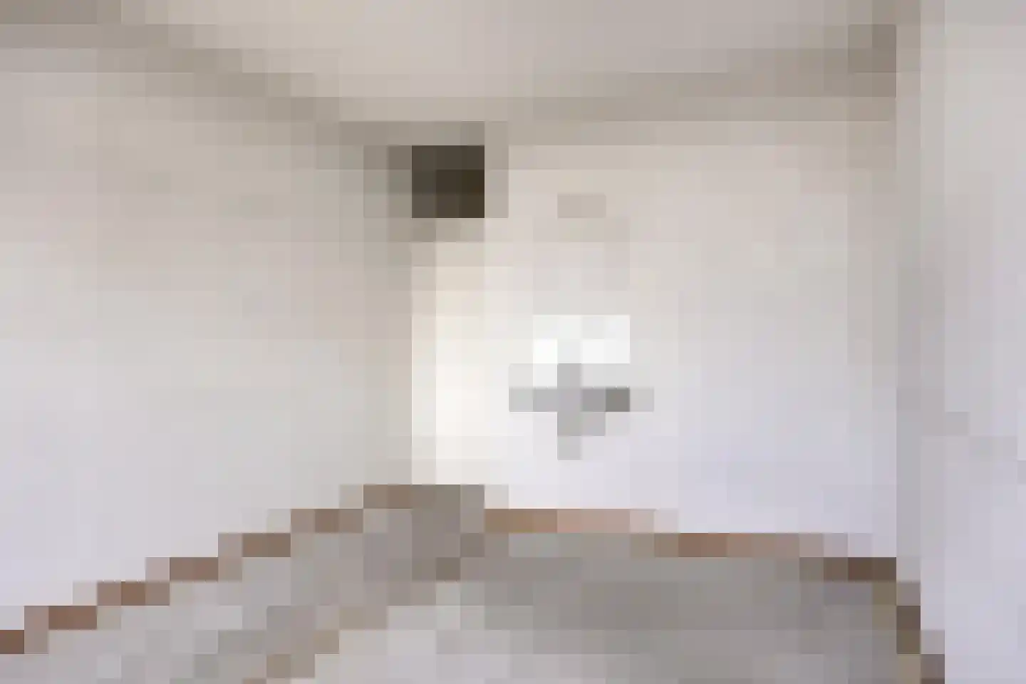 Meulemansstraat 129 Tilburg thumbnail 38