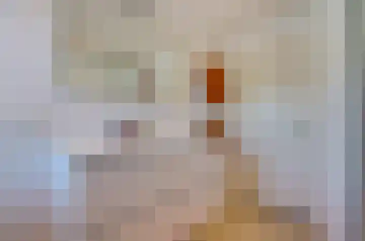 Meulemansstraat 129 Tilburg thumbnail 7
