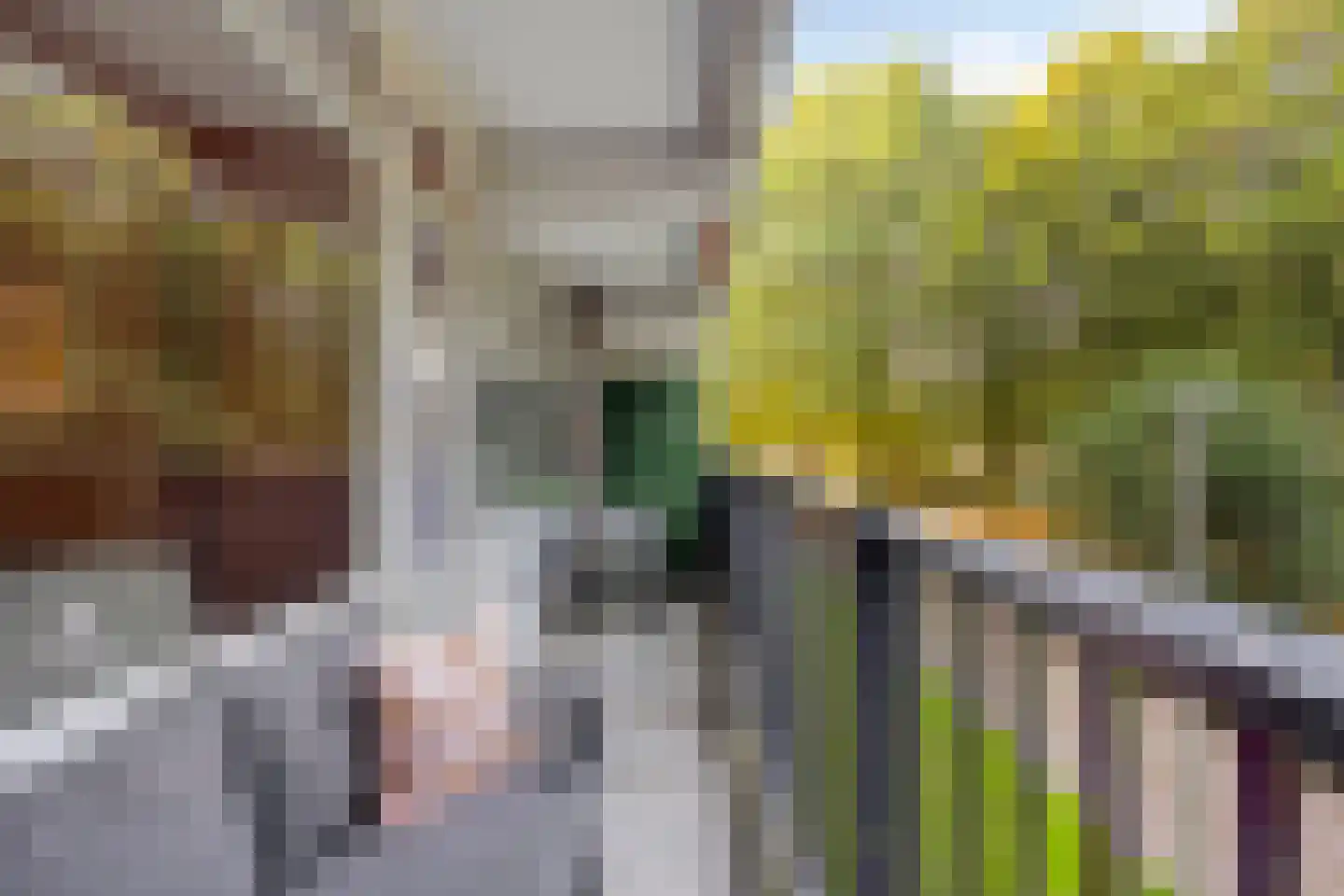 Meulemansstraat 19 Tilburg thumbnail 11