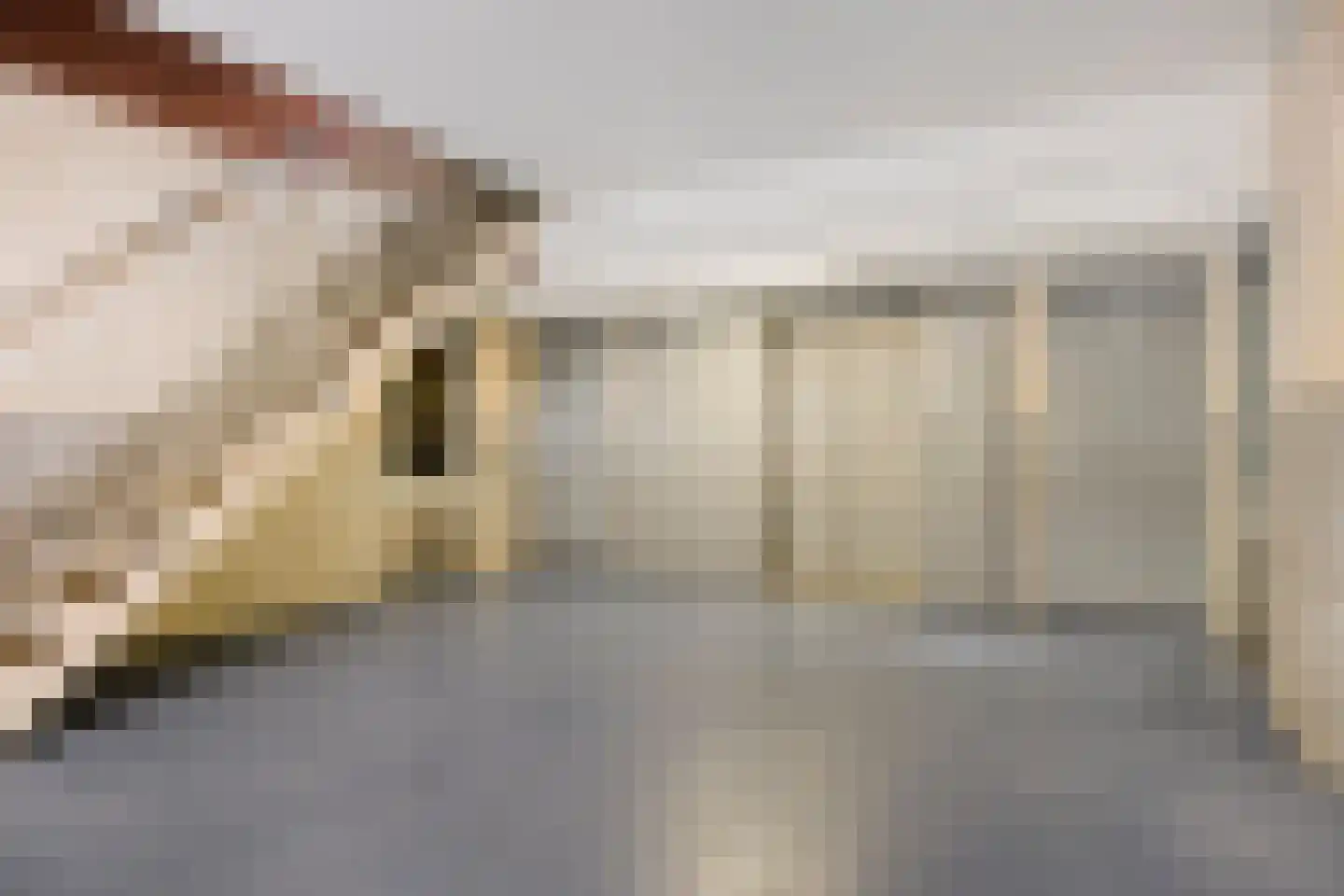 Meulemansstraat 19 Tilburg thumbnail 29