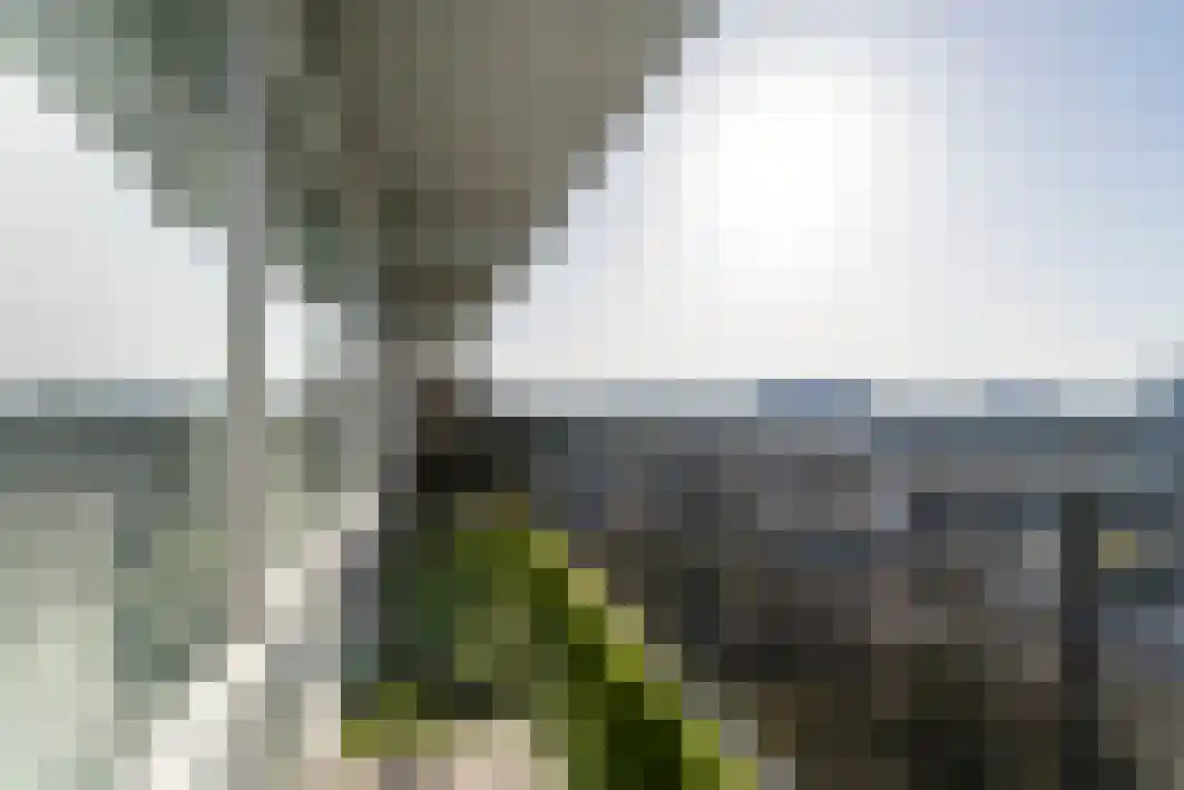 Meulemansstraat 191 Tilburg thumbnail 30