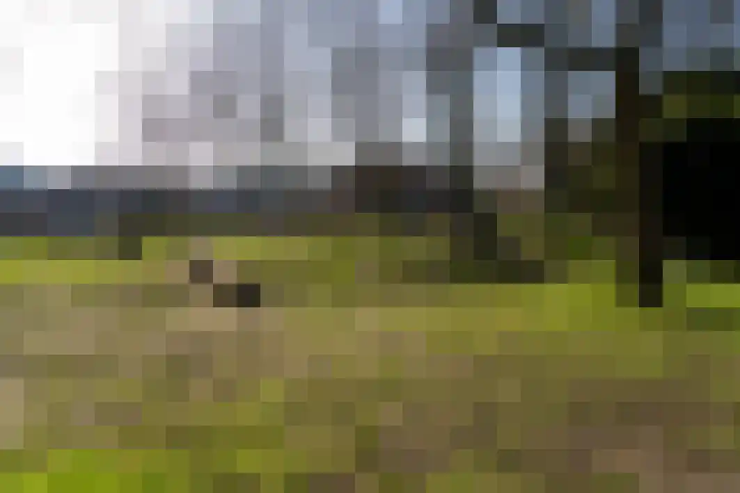 Meulemansstraat 191 Tilburg thumbnail 34