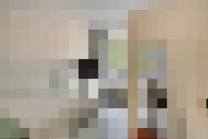 Meulemansstraat 27 Tilburg thumbnail 24