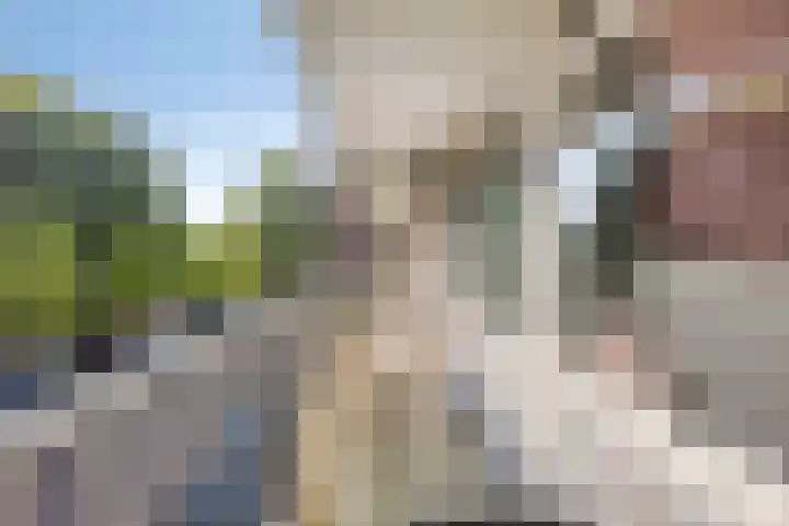 Meulemansstraat 27 Tilburg thumbnail 29