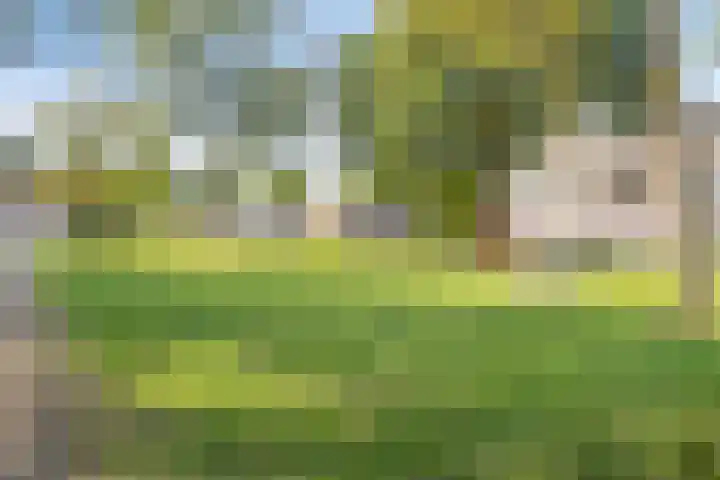 Meulemansstraat 27 Tilburg thumbnail 35