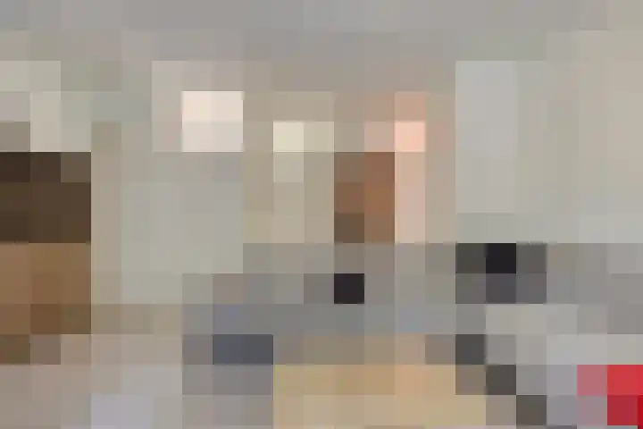 Meulemansstraat 27 Tilburg thumbnail 9