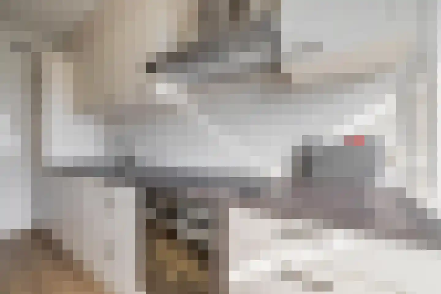 Meulemansstraat 47 Tilburg thumbnail 15