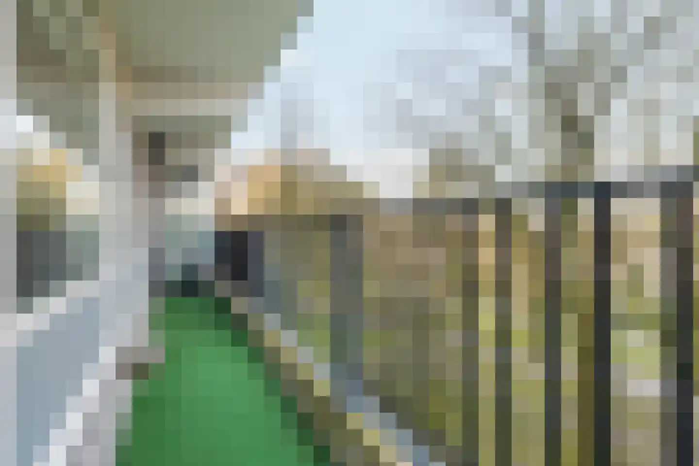 Meulemansstraat 47 Tilburg thumbnail 31