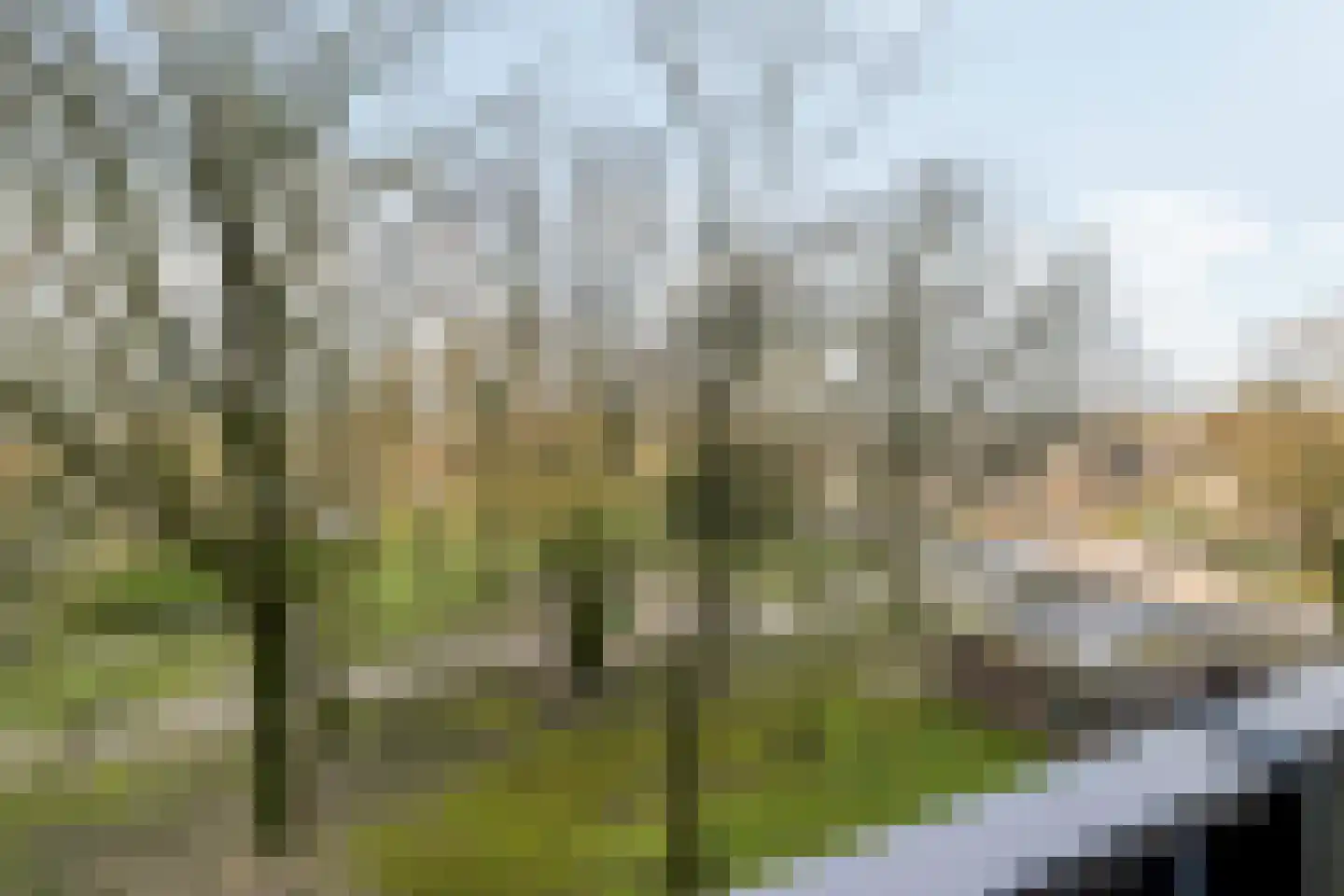 Meulemansstraat 47 Tilburg thumbnail 47