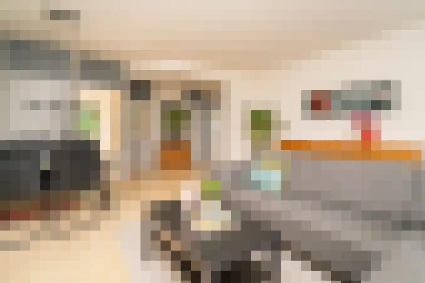 Meulemansstraat 51 Tilburg thumbnail 10