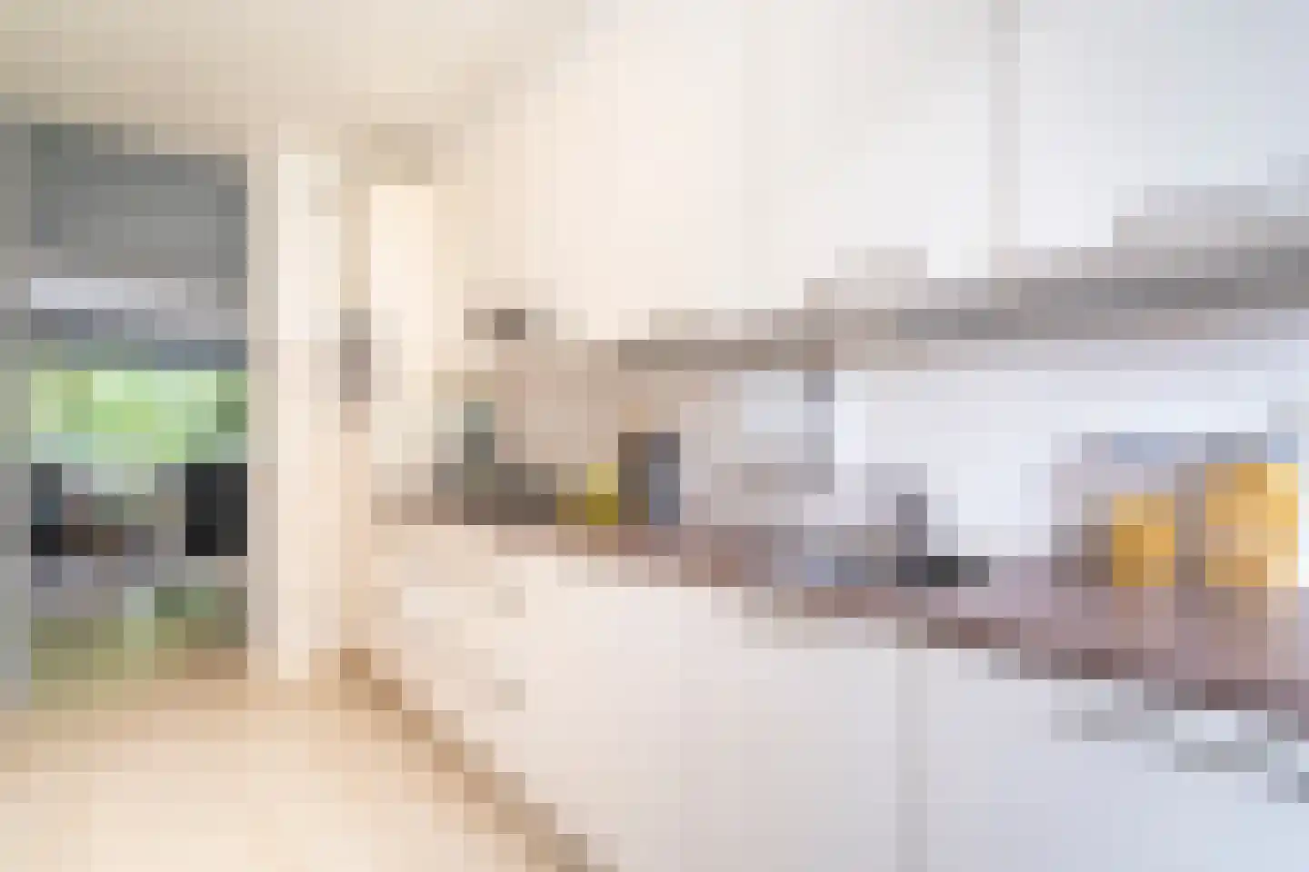 Meulemansstraat 51 Tilburg thumbnail 13