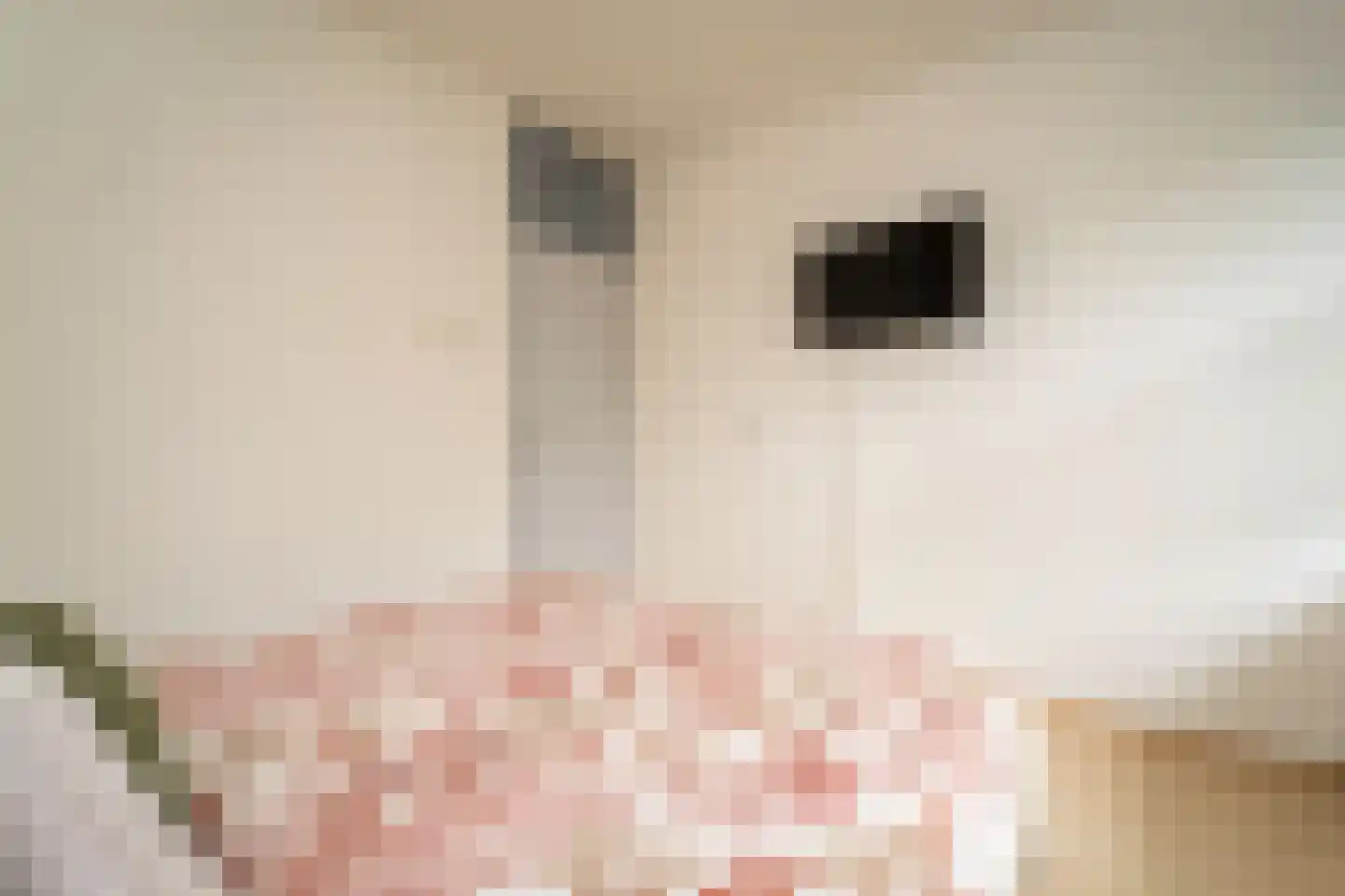 Meulemansstraat 51 Tilburg thumbnail 18