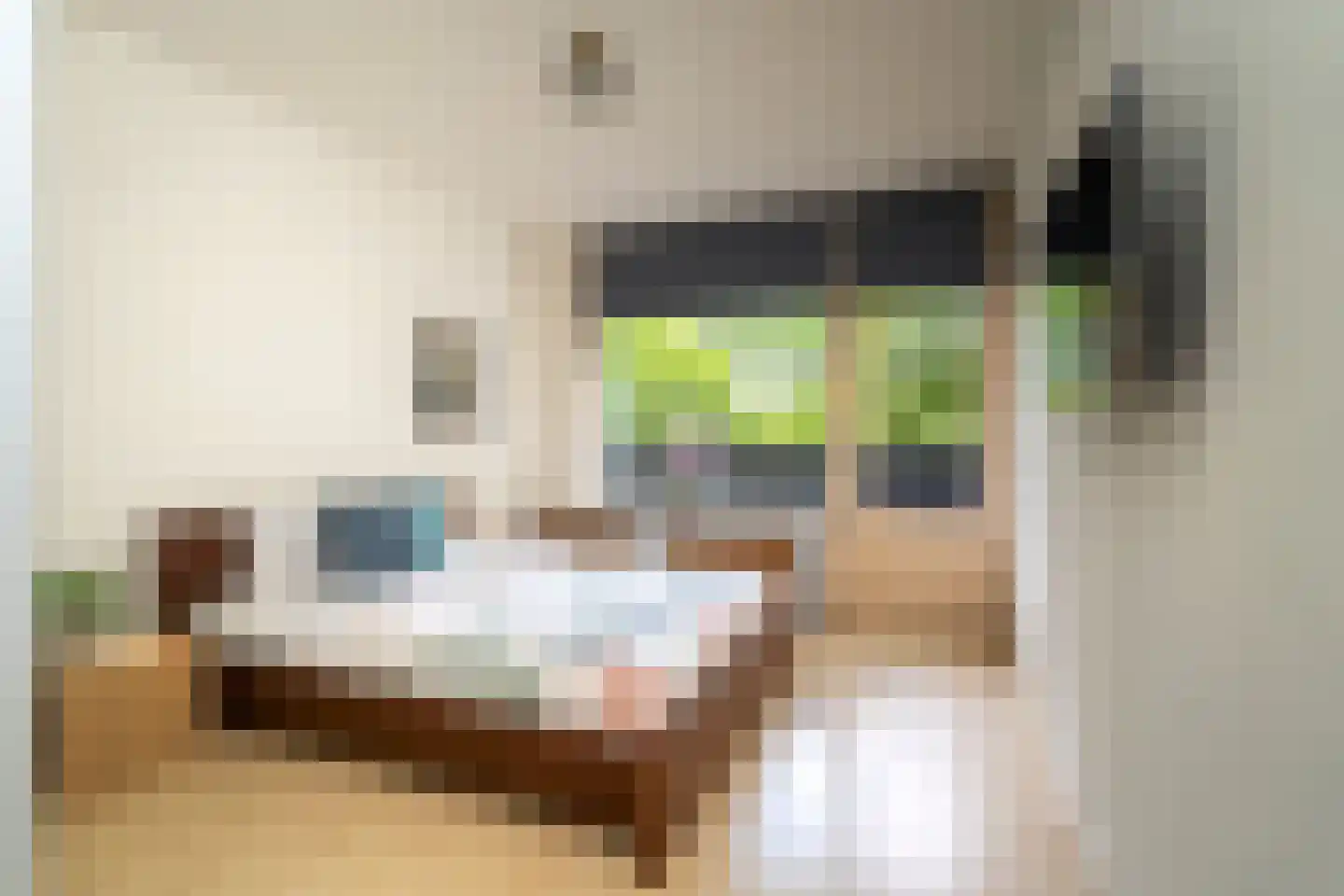 Meulemansstraat 51 Tilburg thumbnail 22