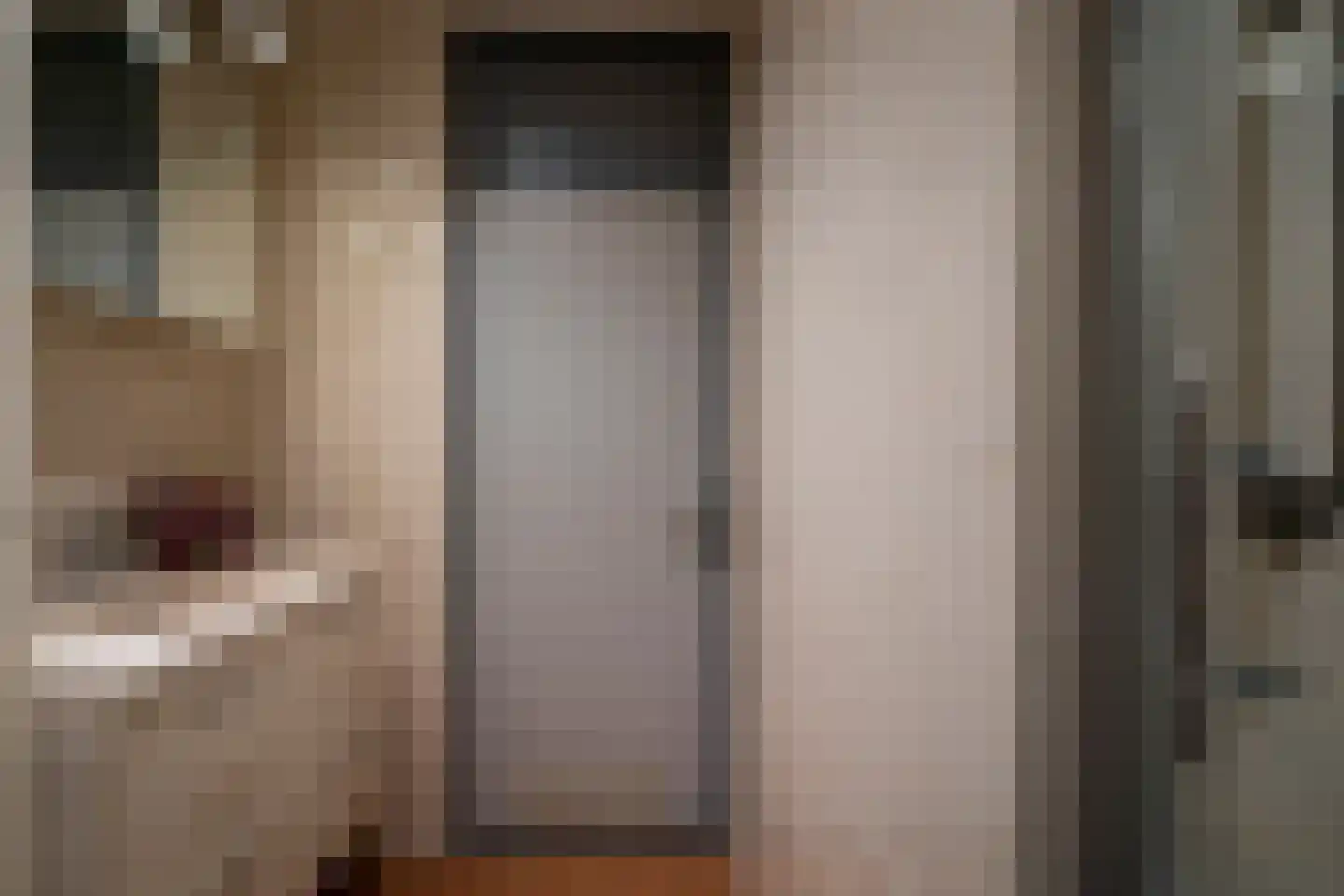 Meulemansstraat 51 Tilburg thumbnail 27