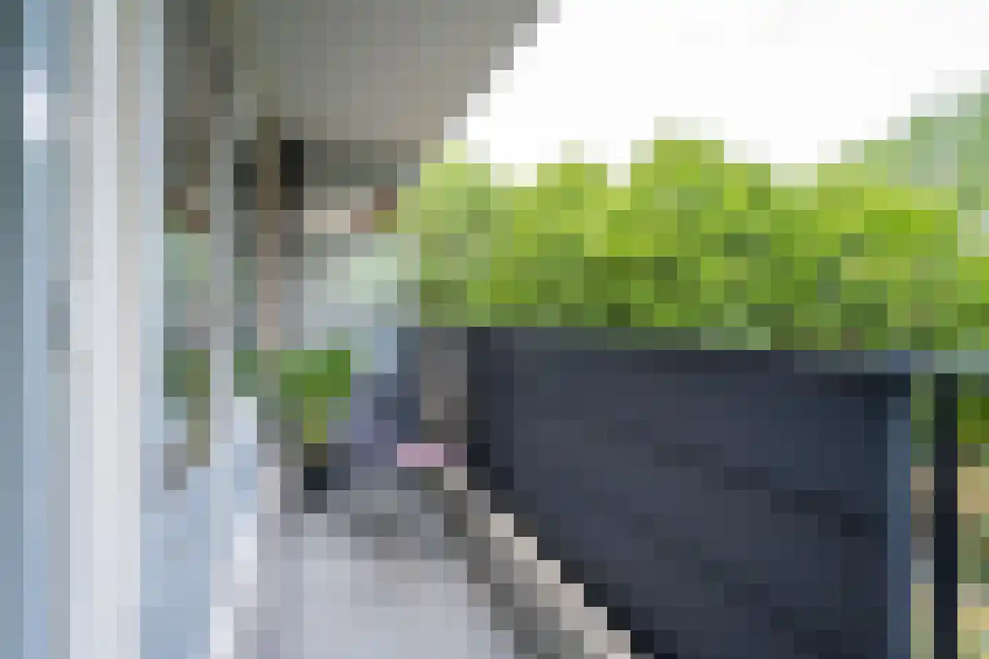 Meulemansstraat 51 Tilburg thumbnail 30