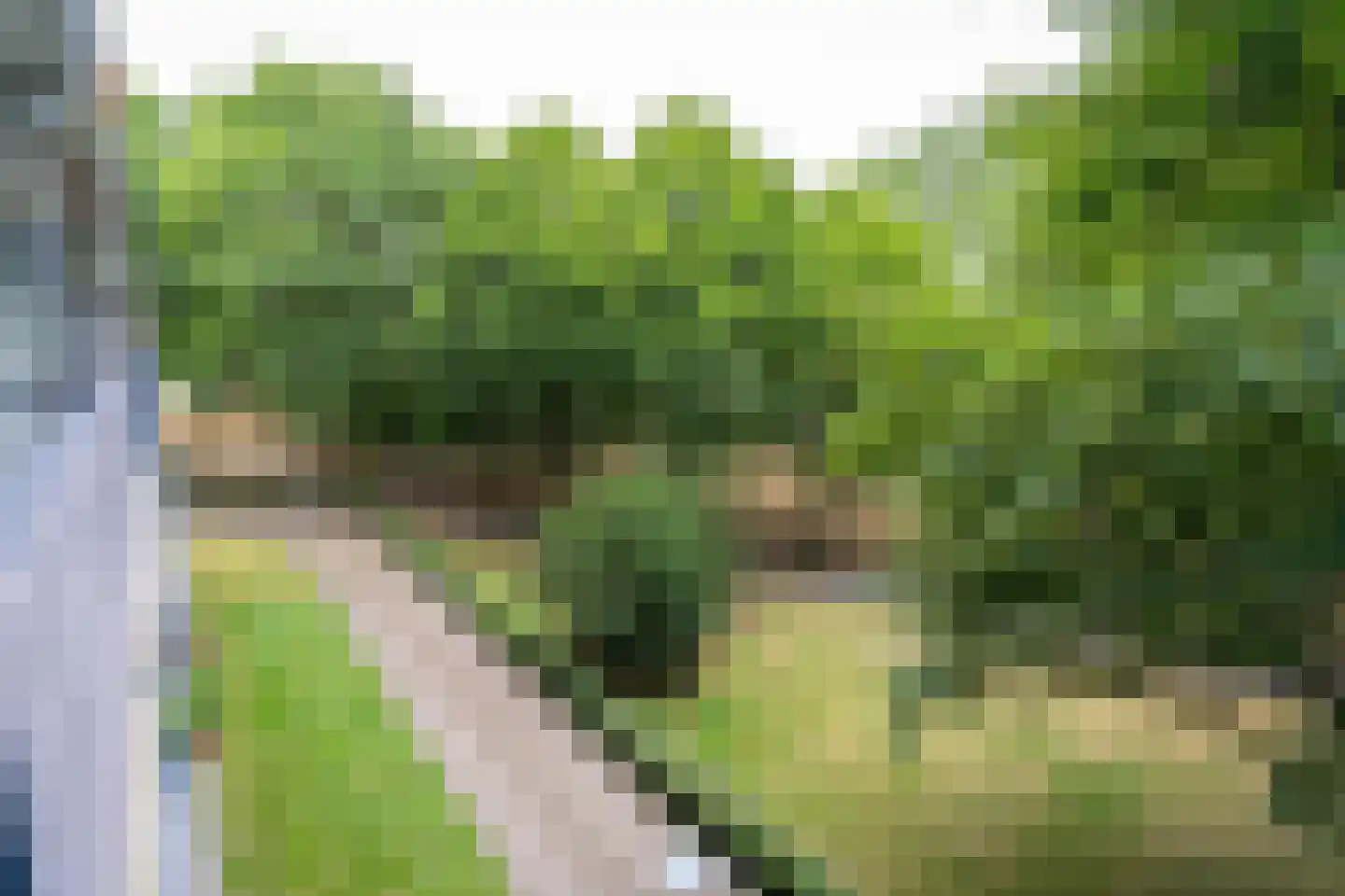 Meulemansstraat 51 Tilburg thumbnail 31