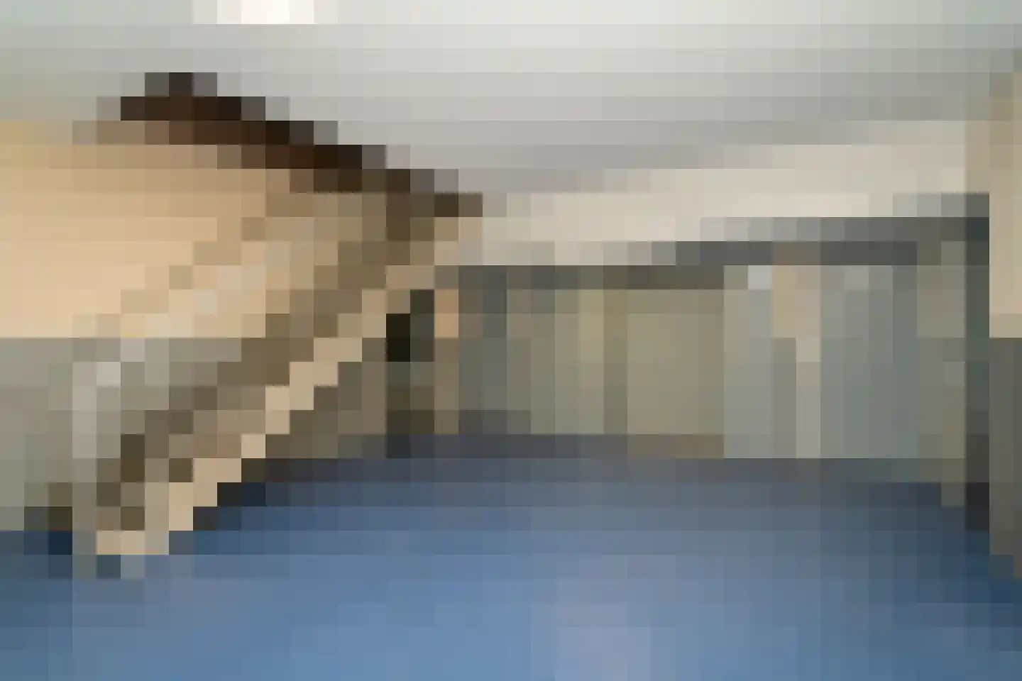 Meulemansstraat 51 Tilburg thumbnail 32