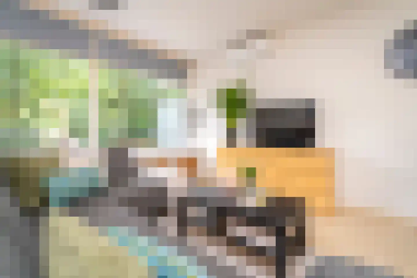 Meulemansstraat 51 Tilburg thumbnail 8