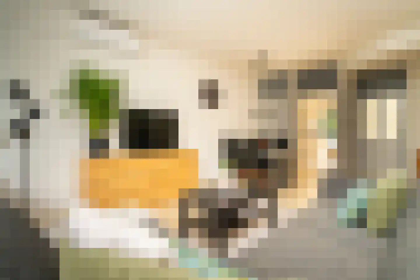 Meulemansstraat 51 Tilburg thumbnail 9