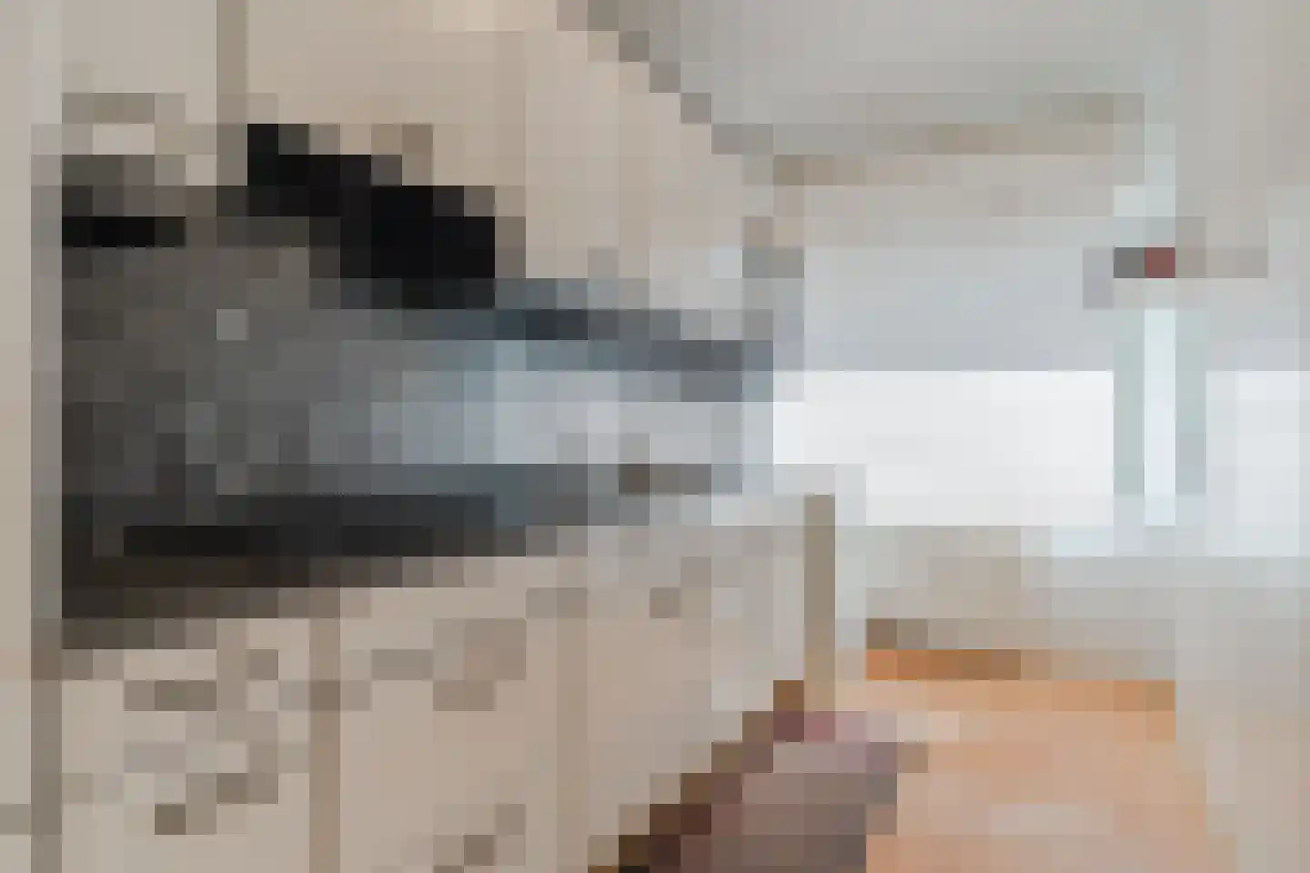 Meulemansstraat 71 Tilburg thumbnail 13