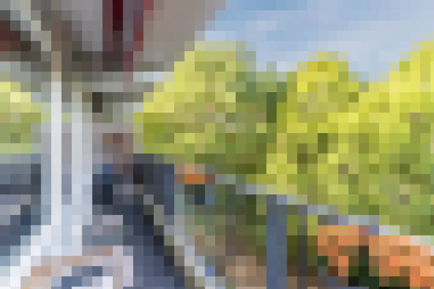Meulemansstraat 71 Tilburg thumbnail 5