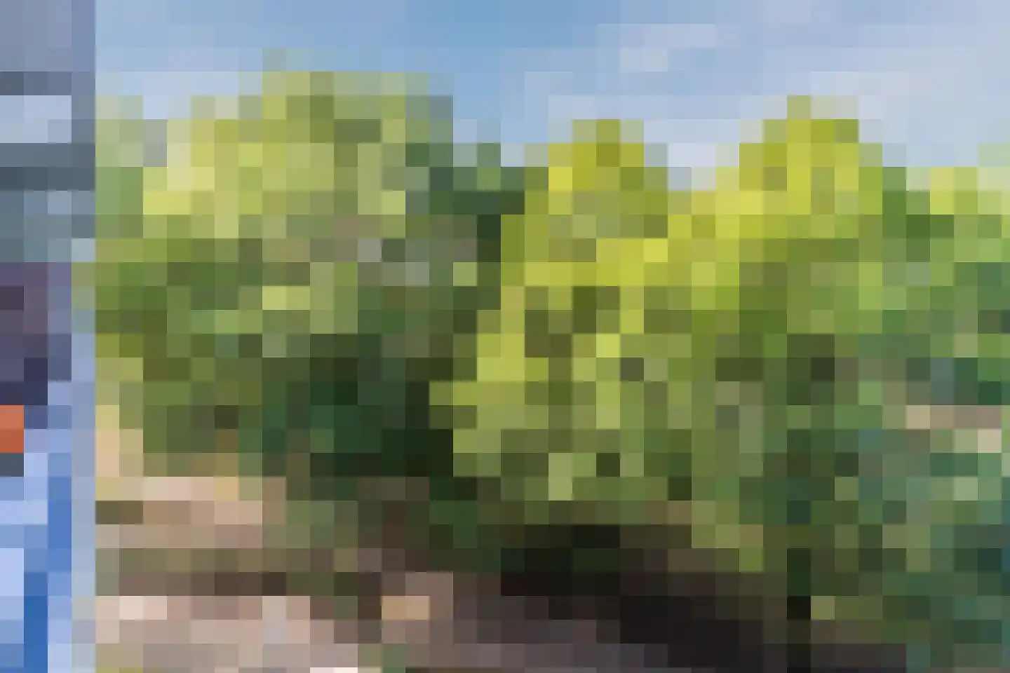 Meulemansstraat 71 Tilburg thumbnail 6