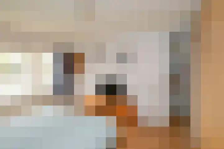 Meulenbeldlaan 101 Almelo thumbnail 16