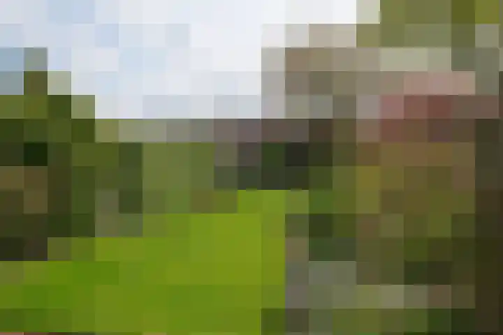Meulenbeldlaan 101 Almelo thumbnail 23