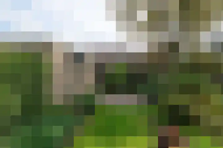 Meulenbeldlaan 101 Almelo thumbnail 24
