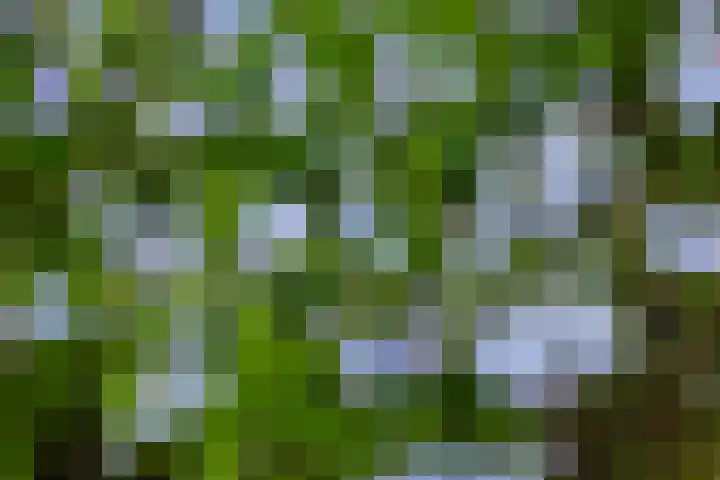 Meulenbeldlaan 101 Almelo thumbnail 25