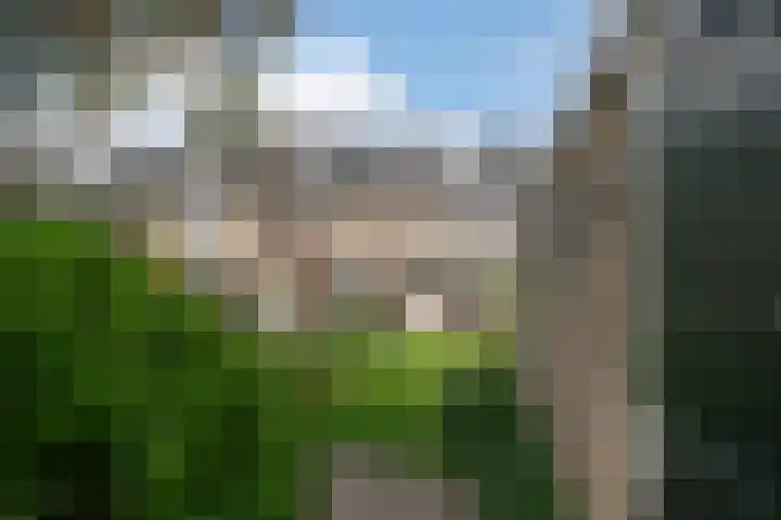 Meulenbeldlaan 101 Almelo thumbnail 26