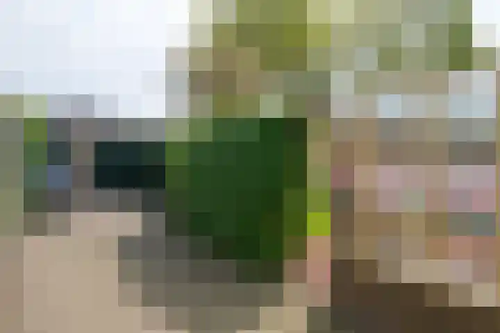 Meulenbeldlaan 101 Almelo thumbnail 27