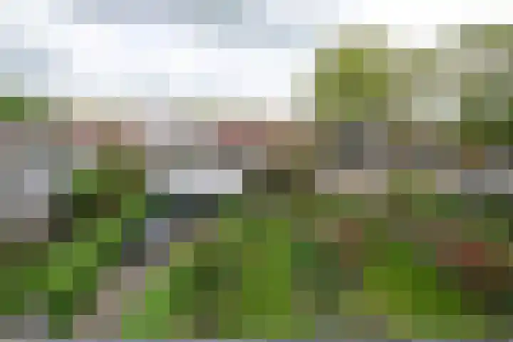 Meulenbeldlaan 101 Almelo foto 3