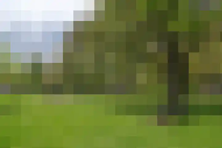 Meulenbeldlaan 101 Almelo thumbnail 32
