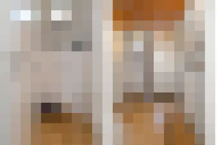 Meulenbeldlaan 101 Almelo thumbnail 4