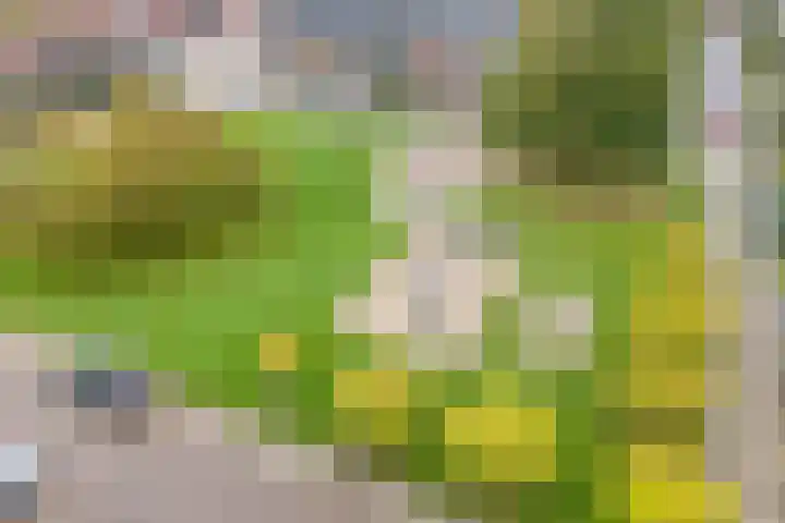 Meulenbeldlaan 157 Almelo thumbnail 25