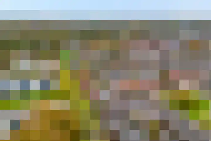 Meulenbeldlaan 157 Almelo thumbnail 26