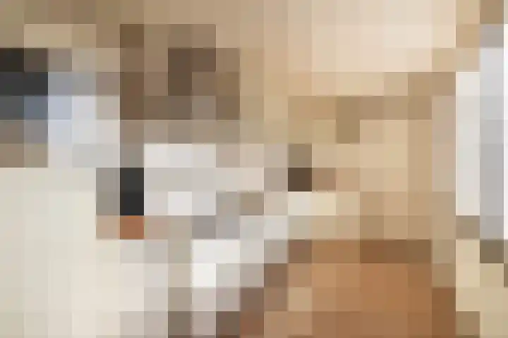 Meulenbeldlaan 79 Almelo thumbnail 4