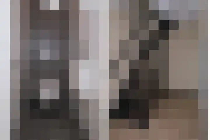 Meulenbeldlaan 99 Almelo thumbnail 11